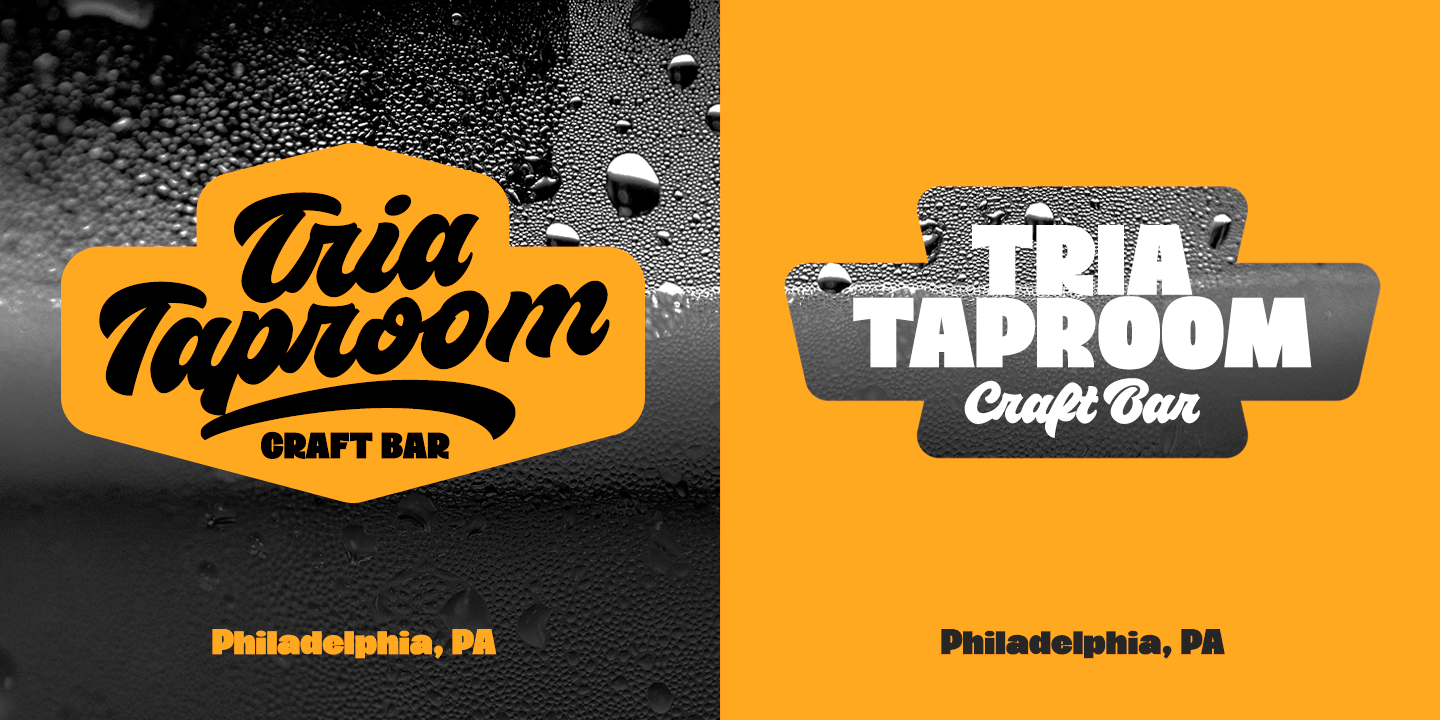 VVDS Sunshine Bridge